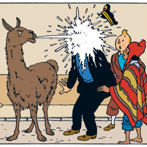 © Hergé / Tintinimaginatio 2025