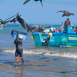 © Lynda Paquet & Martin Parent