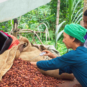 © Lynda Paquet & Martin Parent