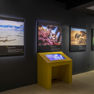 © « National Geographic »