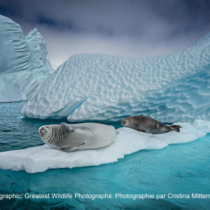 © « National Geographic »