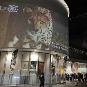 De nombreux spectateurs à l’entrée du « Delta » © « FINN »