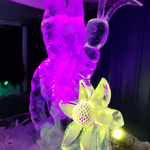 « Ice World » ⓒ Photo : Murielle Lecocq