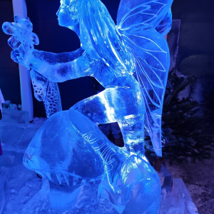 « Ice World » ⓒ Photo : Murielle Lecocq