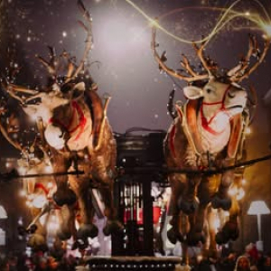 Parade de Noël, à Jambes ⓒ Photo : « RTL »