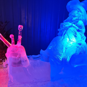 « Ice World » ⓒ Photo : Murielle Lecocq