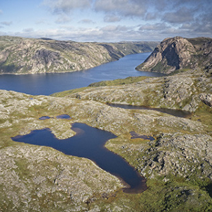 © Lynda Paquet & Martin Parent