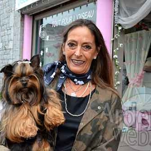 photo Haute couture pour chien