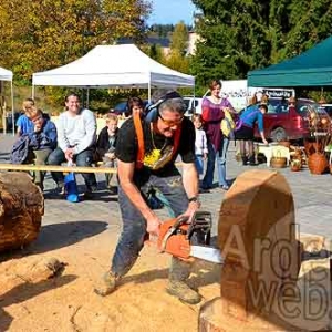 Martelange week-end du Bois - 853