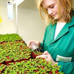 Fascination of Plants Day