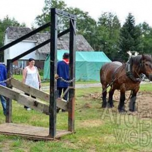 7839 - A bon vi timps  Bovigny
