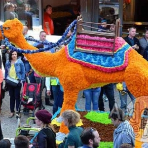 video carnaval de La Roche 2017