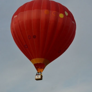 Vol en Montgolfiere en Belgique - 7865