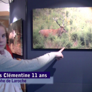  video, exposition Grandeur Nature 