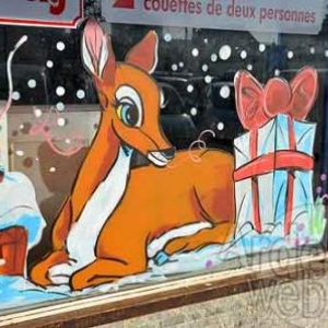 vitrine de NOEL