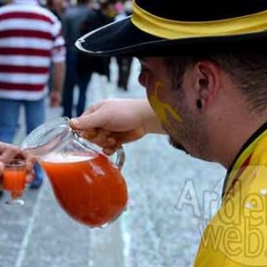 Carnaval du soleil 2011 - 9785