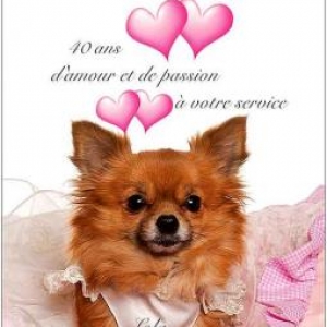 20120307-lola