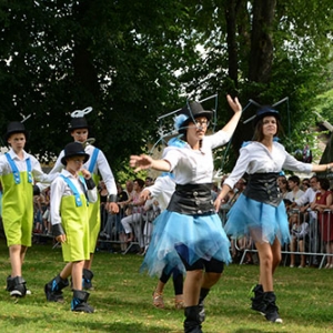 Fete des Myrtilles 2016 Vielsalm-Davin_2427