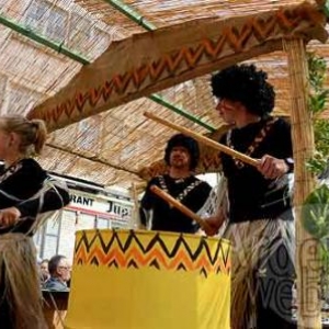 Carnaval du soleil 2011 - 9590 - video 06
