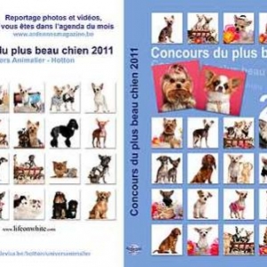 reportage de 12h30 a 18h