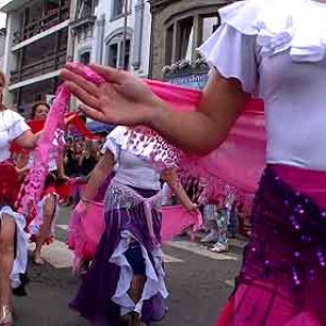 FETE des myrtilles video 4