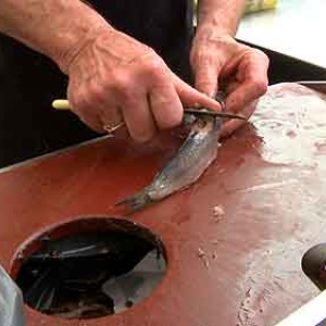 Les Epicuriales-video-1