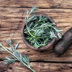 Artémisinine, une simple plante pour endiguer la pandémie ? 