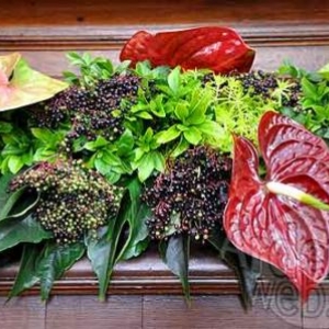 Belgian flower arrangement society -photo 103
