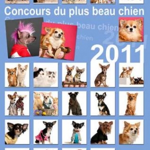 reportage de 9 a 12h