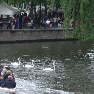Brugge, 15 août 2016, la Venise du Nord