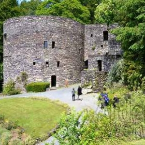 Chateau des comtes de Salm_3433
