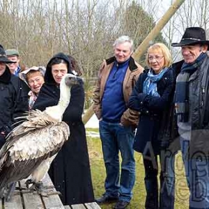 Lovive 1er anniversaire-5610