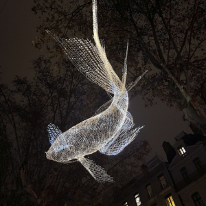 Mons en Lumières