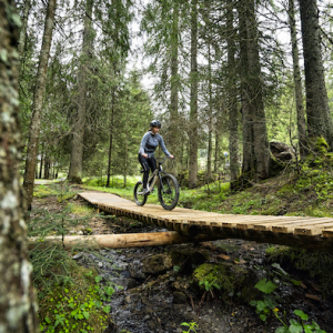 ​Châtel.  Destination Tout-Saison au Cœur des Alpes