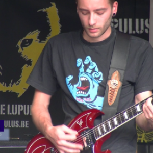 Houffalive Music Festival. Beggars_video 03