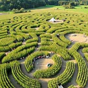 Les extraterrestres au Labyrinthe