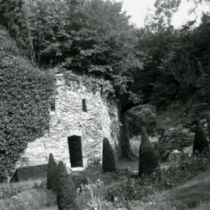 Chateau des comtes de Salm