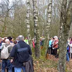 Berkensap