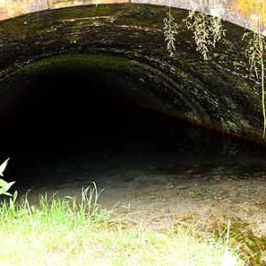 Canal de Bernistap - Roman