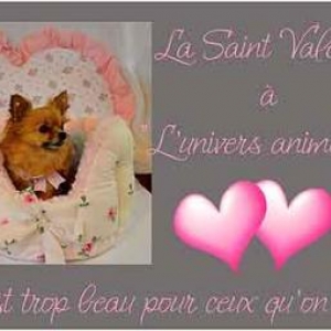 St Valentin du chien