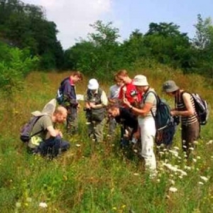 initiation insectes