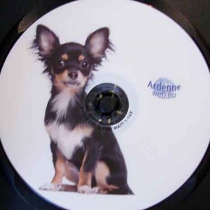 CD