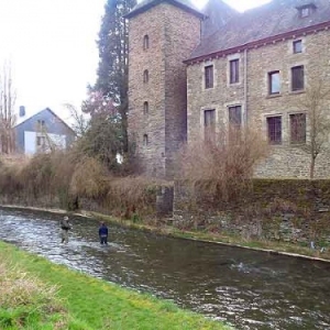 Houffalize. Truites: capture et graciation