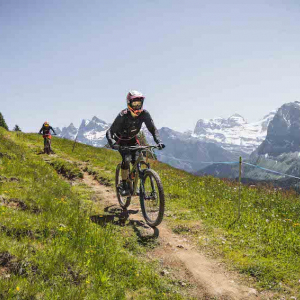 ​Châtel.  Destination Tout-Saison au Cœur des Alpes