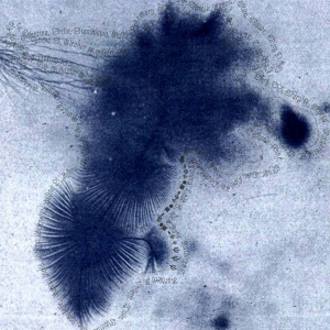 Ectoplasme © Les Aethers
