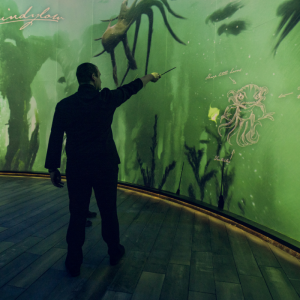 Harry Potter: Visions of Magic. Tour & Taxis Bruxelles