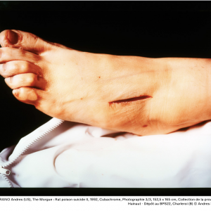 SERRANO Andres (US), The Morgue : Rat poison suicide II, 1992, Cubachrome, Photographie 3/3, 152,5 x 165 cm, Collection de la province de Hainaut - Dépôt au BPS22, Charleroi (B) © Andres Serrano