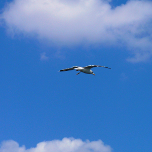 Les environs d'Ermioni ( photo : F. Detry ) Les environs d'Ermioni ( photo : F. Detry )