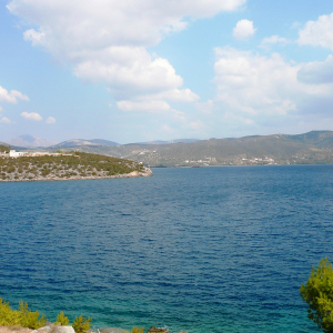 Les environs d'Ermioni ( photo : F. Detry ) Les environs d'Ermioni ( photo : F. Detry )