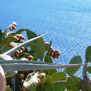 Nauplie Forteresse Palamede ( photo : F. Detry ) Nauplie Forteresse Palamede ( photo : F. Detry )